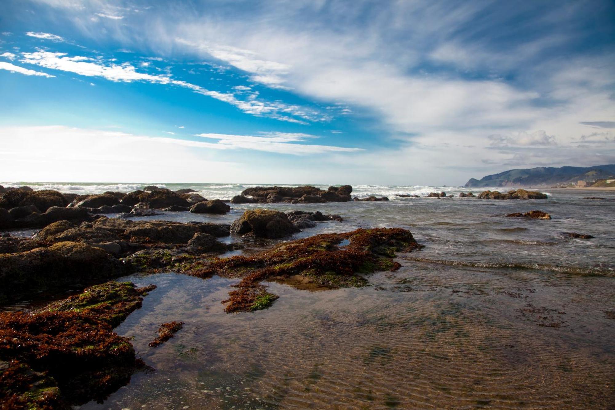 The Coho Oceanfront Lodge Lincoln City Zewnętrze zdjęcie